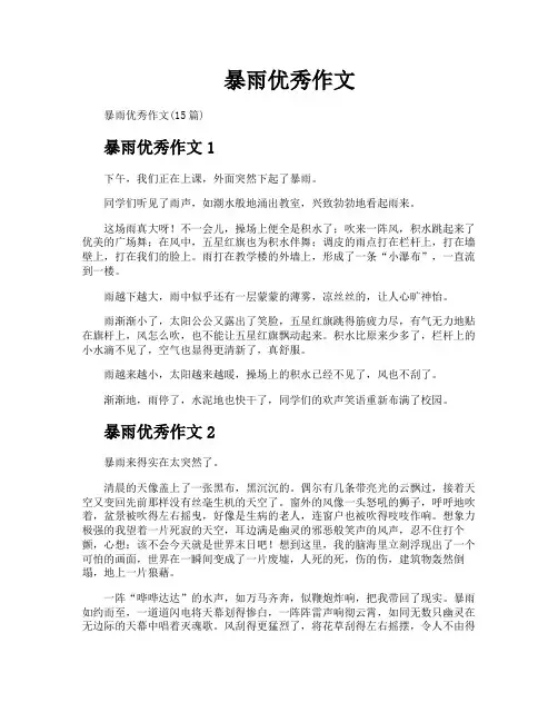 暴雨优秀作文