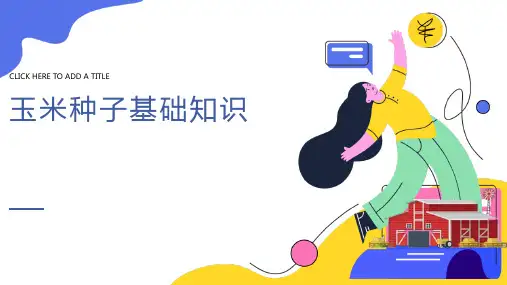 玉米种子基础知识