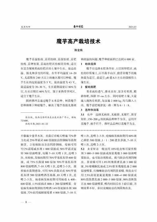 魔芋高产栽培技术