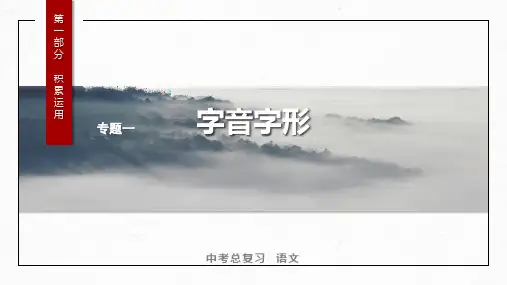 2024年广东省中考语文一轮总复习：字音字形