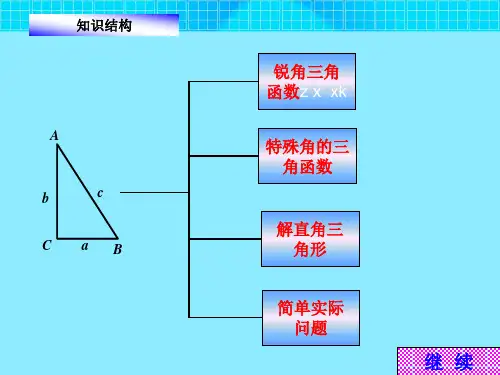 锐角三角函数复习.ppt