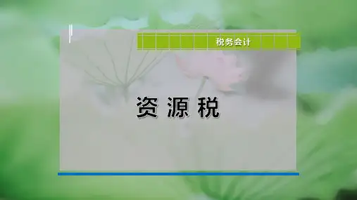 资-源-税-PPT模板