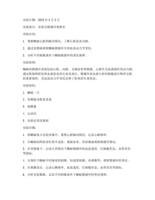 蟾蜍微循环实验报告