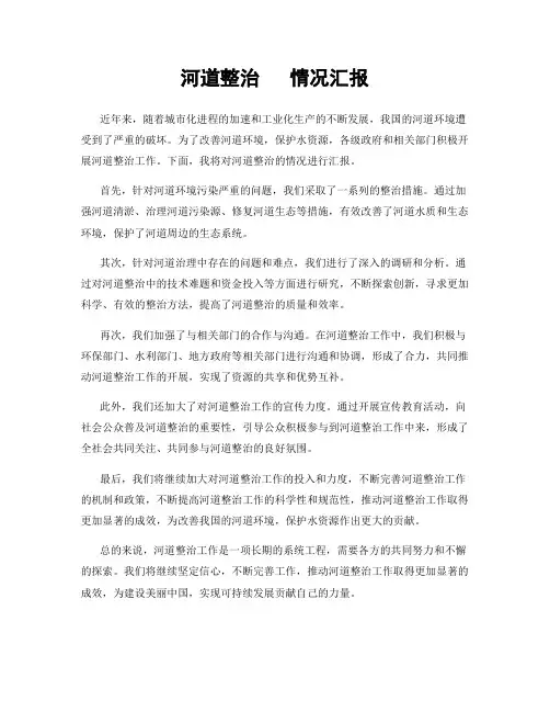 河道整治   情况汇报