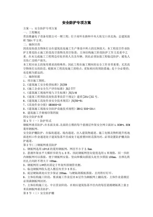 安全防护专项方案