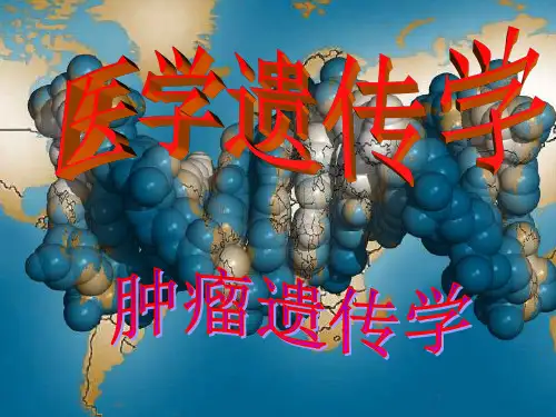 肿瘤-免疫遗传学
