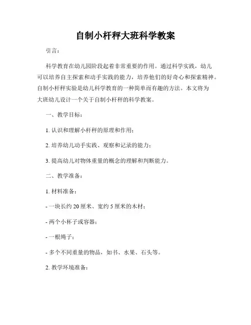 自制小杆秤大班科学教案