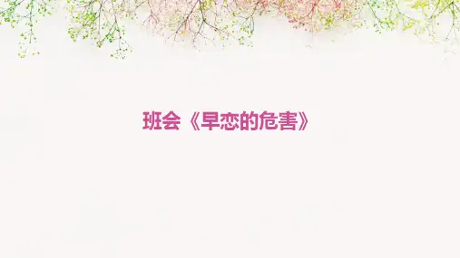 班会《早恋的危害》