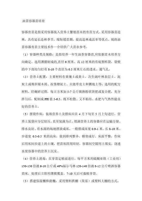 油茶容器苗培育