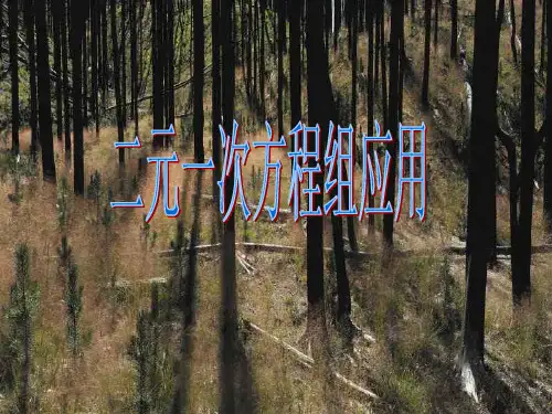 人教版二元一次方程组的应用PPT课件