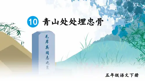 青山处处埋忠骨ppt课件