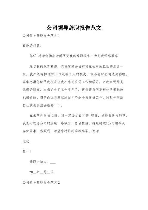 公司领导辞职报告范文