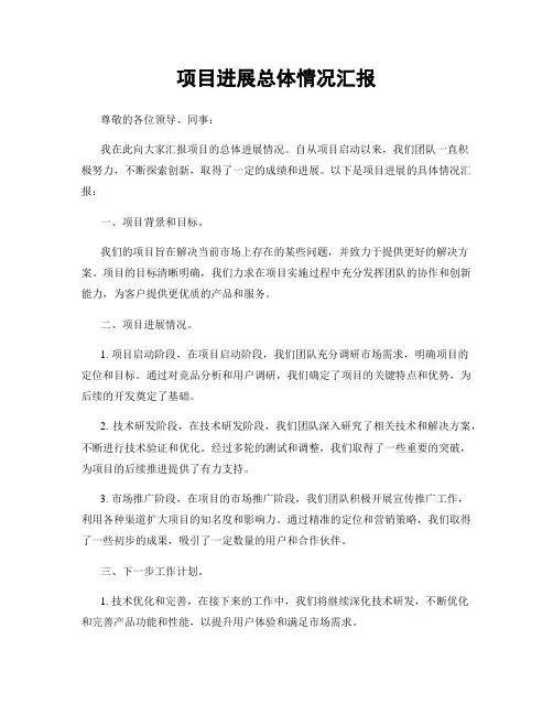 项目进展总体情况汇报