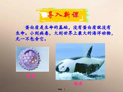 人教版化学选修一1.3《生命的基础—蛋白质》教案课件优秀课件
