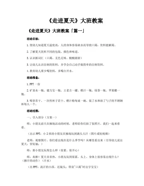 《走进夏天》大班教案