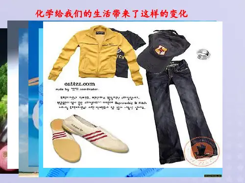 2021年高中化学专题1洁净安全的生存环境第三单元生活垃圾的分类处理课件4苏教版选修1