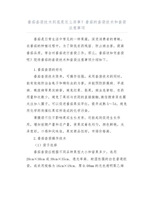 番茄套袋技术到底是怎么回事？番茄的套袋技术和套袋注意事项