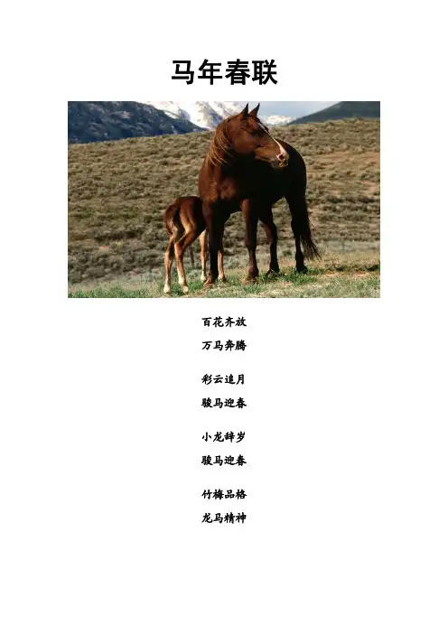 马年春联大全