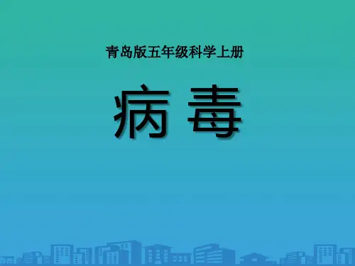 《病毒》PPT课件下载
