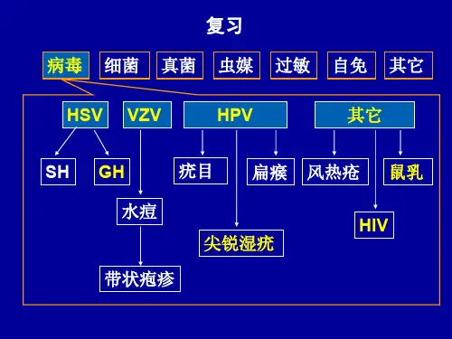 3.虫咬皮炎