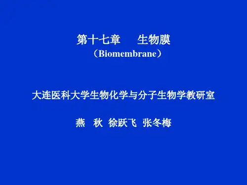 第十七章-生物膜