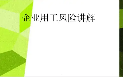 企业用工风险ppt课件