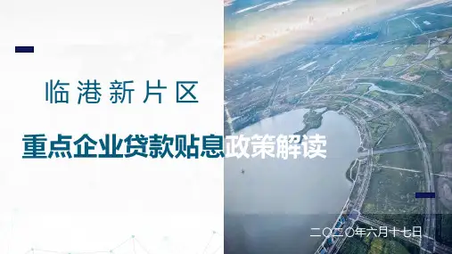 临港新片区贴息政策解读