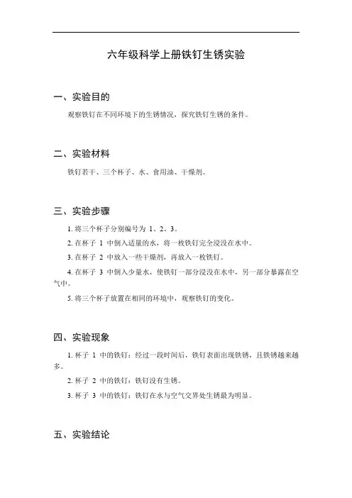 六年级科学上册铁钉生锈实验