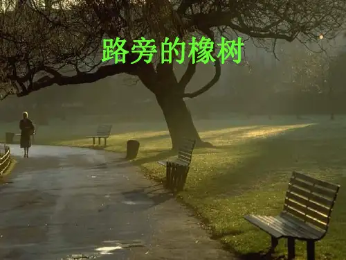 三年级语文路旁的橡树1