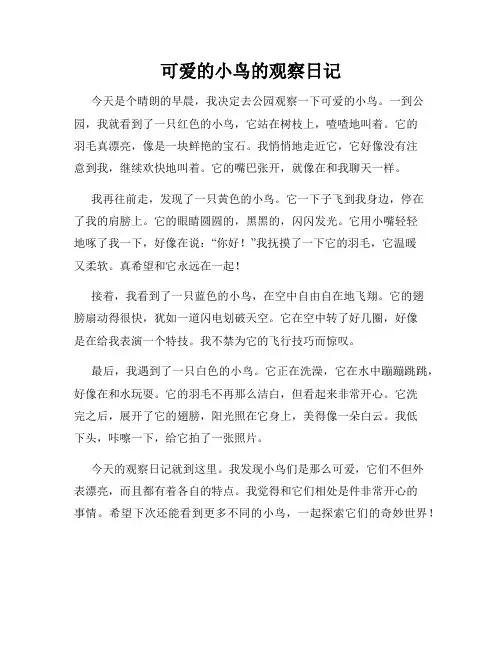 小学三年级作文可爱的小鸟的观察日记