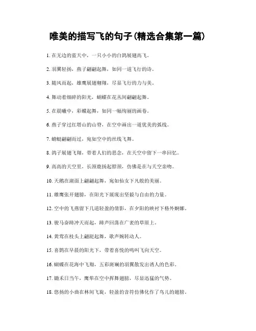 唯美的描写飞的句子(精选合集两篇)