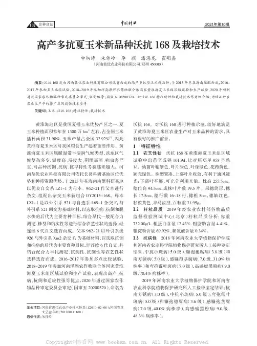 高产多抗夏玉米新品种沃抗168 及栽培技术