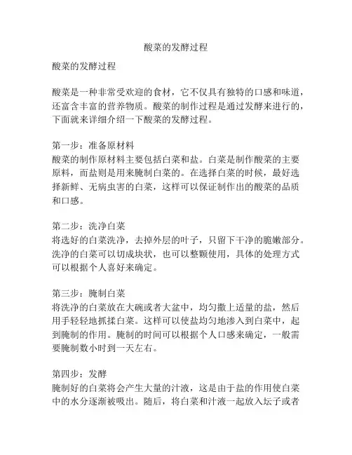 酸菜的发酵过程