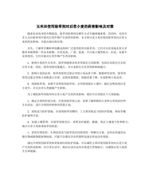 玉米田使用除草剂对后茬小麦的药害影响及对策