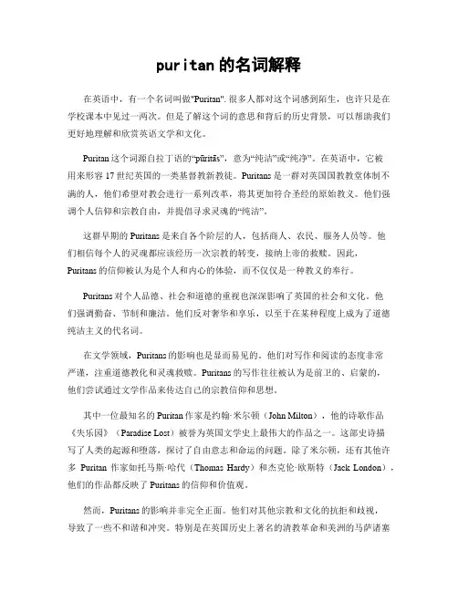 puritan的名词解释