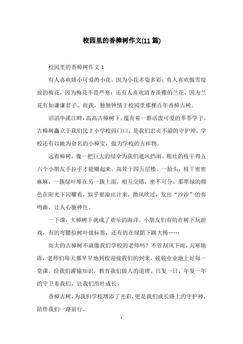 校园里的香樟树作文(11篇)
