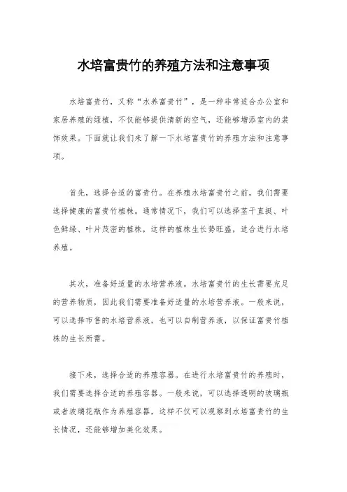水培富贵竹的养殖方法和注意事项
