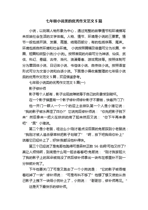 七年级小说类的优秀作文范文5篇