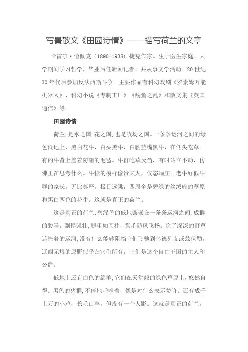 写景散文《田园诗情》——描写荷兰的文章