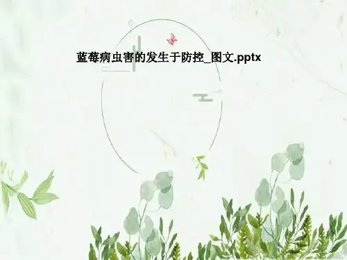蓝莓病虫害的发生于防控-图文
