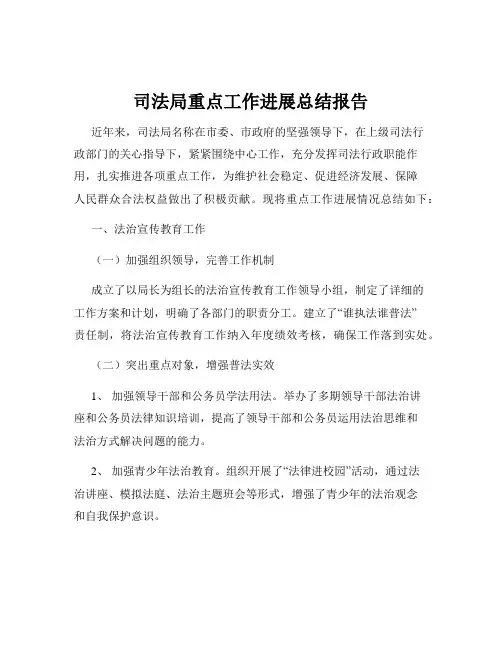 司法局重点工作进展总结报告