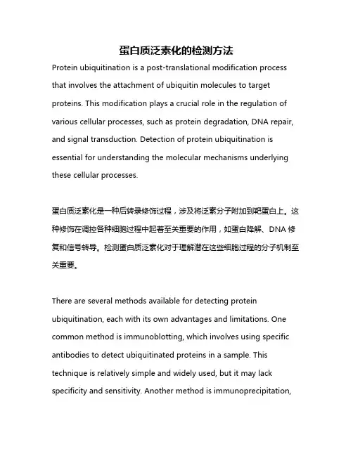 蛋白质泛素化的检测方法