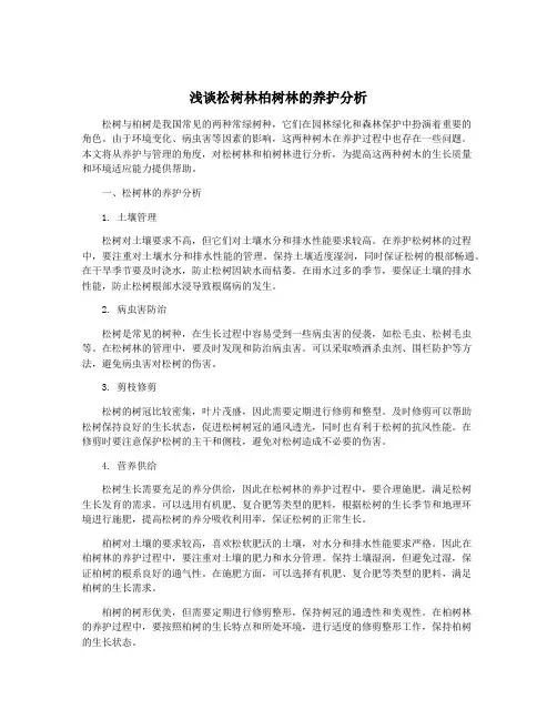浅谈松树林柏树林的养护分析