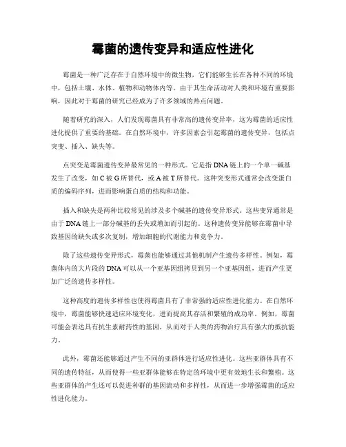 霉菌的遗传变异和适应性进化