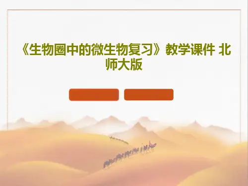 《生物圈中的微生物复习》教学课件 北师大版共42页