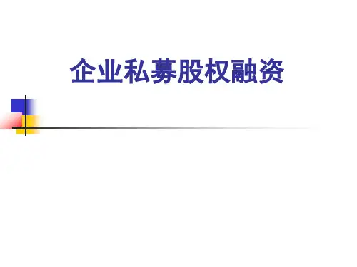 企业私募股权融资(ppt 94页)