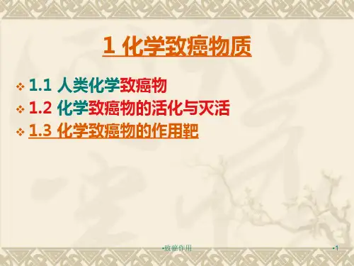致癌作用课件