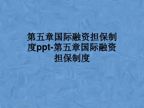 第五章国际融资担保制度ppt-第五章国际融资担保制度