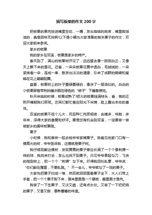 描写板栗的作文200字