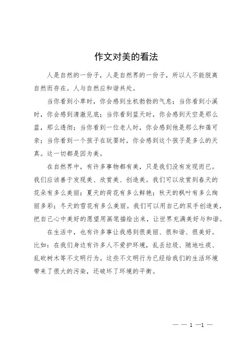 作文对美的看法